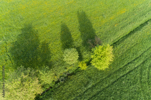Luftbild mit Blick auf Wiesen im Frühling