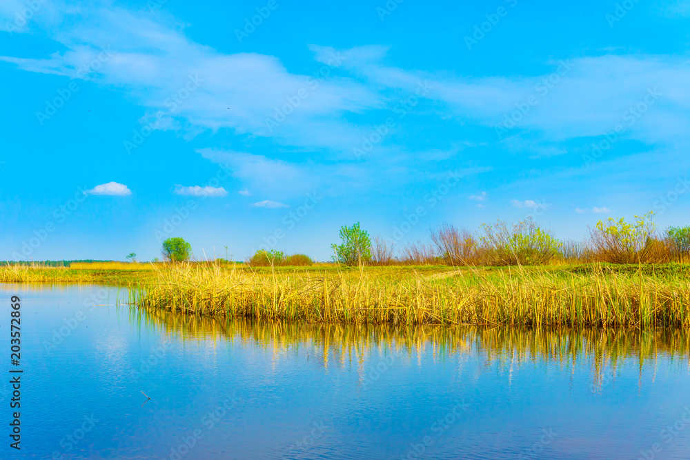 Naklejka premium Spring landscape in the countryside