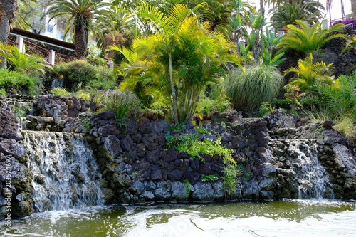 Im Taoropark der sch  nsten Garten und Park Landschaft in Puerto de la Cruz auf Teneriffa.