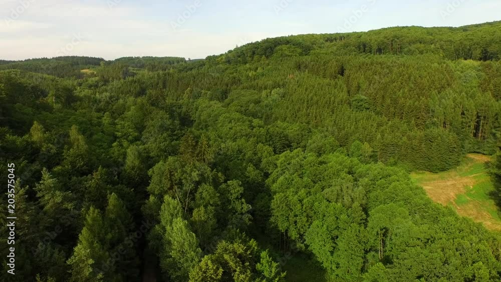 Aerial view of summer forest while day. Aerial view of summer forest while day.