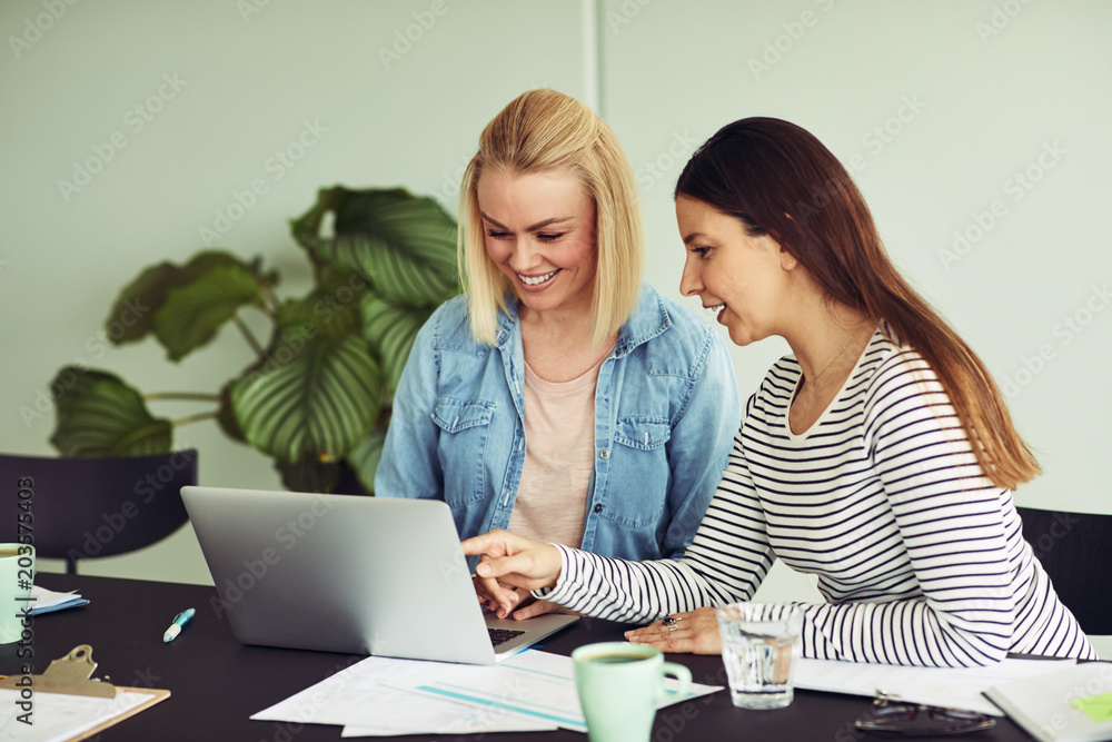 Smiling businesswomen sitting at an office desk using a laptop Smiling businesswomen sitting at an office desk using a laptop