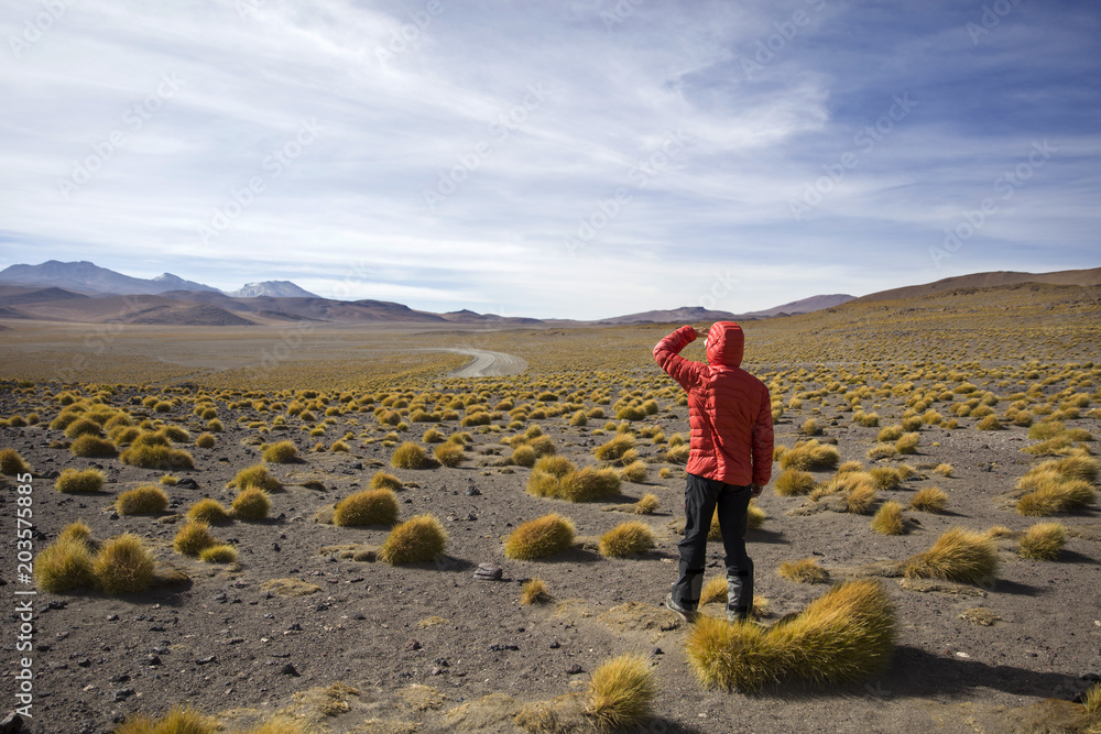 Laguna Colorada in Bolivia