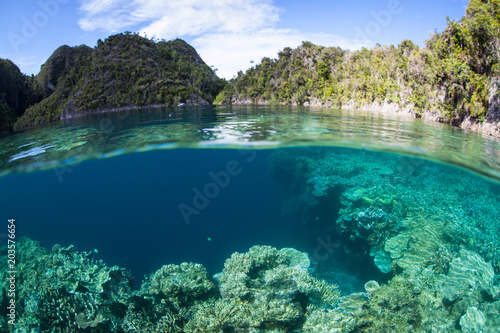 Beautiful Islands and Coral Reef in Raja Ampat