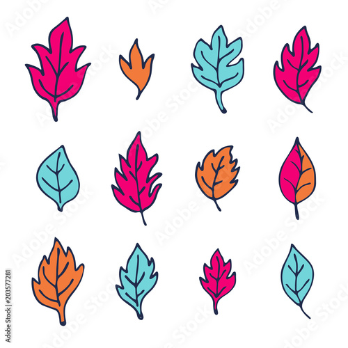 Hand drawn leaves set isolated on white background. Vector illustration.