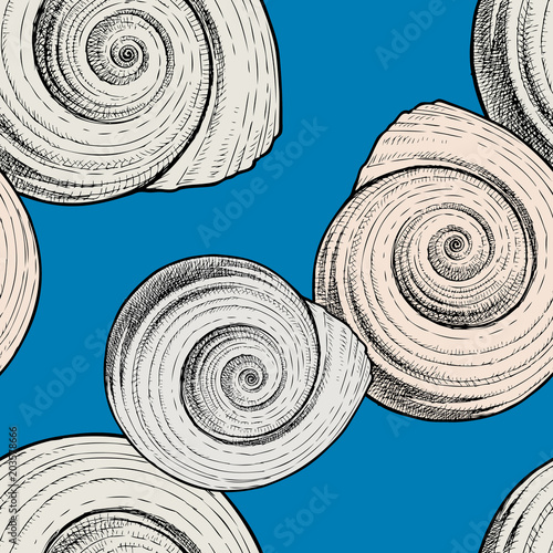 Pattern of the spiral seashells