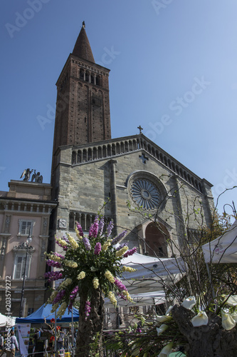 Duomo di Piacenza in fiore
