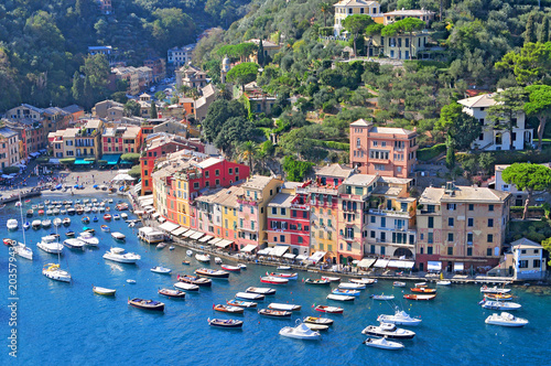 Liguria Portofino, view of harbor with moored boats and pastel colored houses lining the bay with trees on hills behind, Italy.
