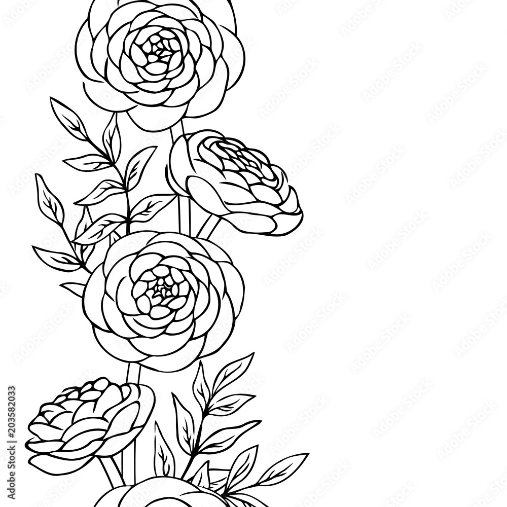 vector contour ranunculus rose flowers bud leaf coloring book ...