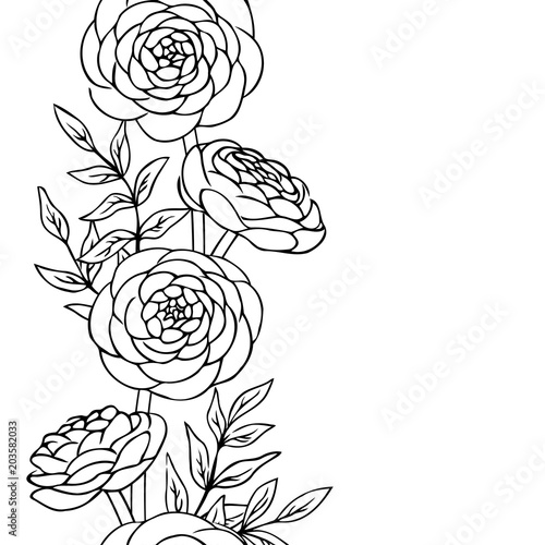 vector contour ranunculus rose flowers bud leaf coloring book pattern elements vertical seamless repeating
