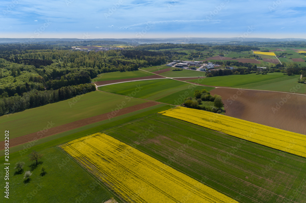 Fototapeta premium Luftbild blühende Rapsfelder im Frühling