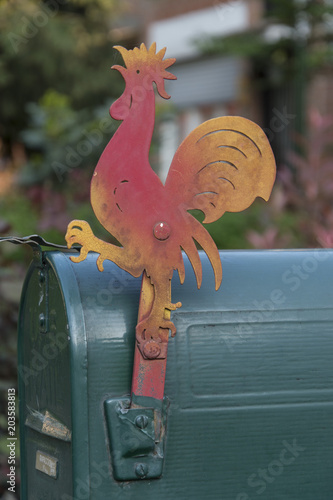 Gallo di ferro photo