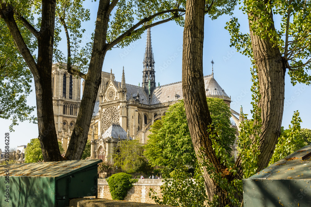 Notre-Dame de Paris cathedral seen through the poplar trees, lined up along the banks of the river Seine, in the shade of which the second-hand booksellers have installed their typical bookstalls. Notre-Dame de Paris cathedral seen through the poplar trees, lined up along the banks of the river Seine, in the shade of which the second-hand booksellers have installed their typical bookstalls.