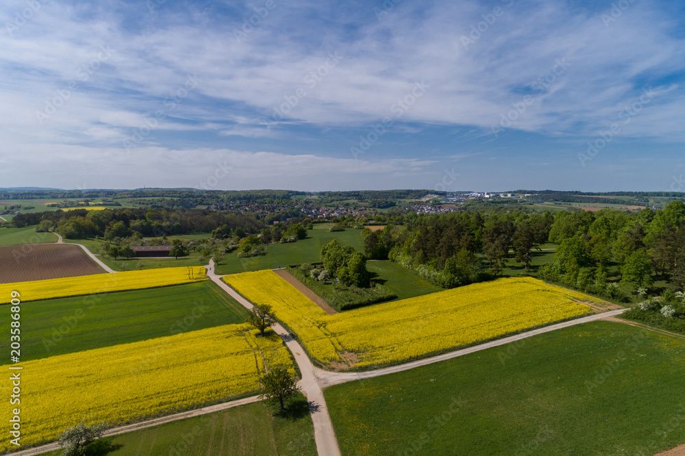 Fototapeta premium Luftbild blühende Rapsfelder im Frühling