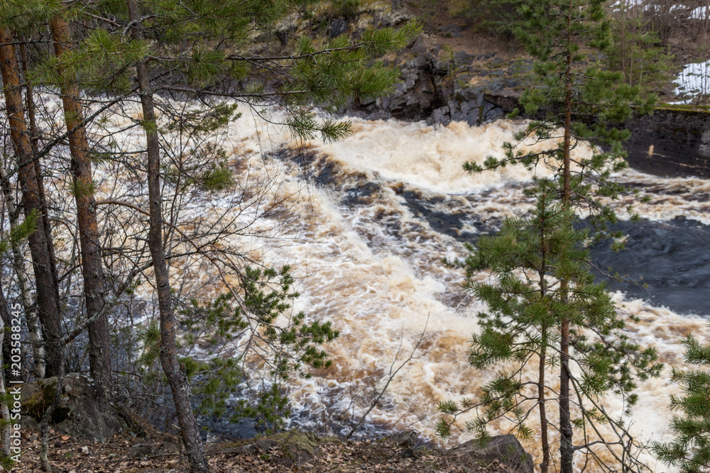Stormy mountain river in the background of the forest Stormy mountain river in the background of the forest
