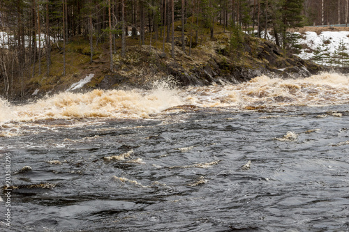 Stormy mountain river in the background of the forest