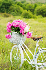 Papier peint photo Pivoines Bicyclette rétro blanche aux pivoines  © BigLike Images