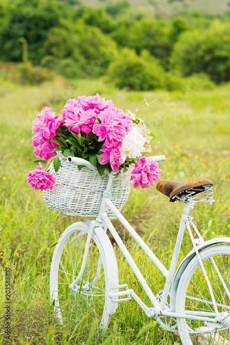 Fototapeta Naklejka Na Ścianę i Meble -  White retro bicycle with basket full of peonies in nature in spring. Natural lighting, no retouch.