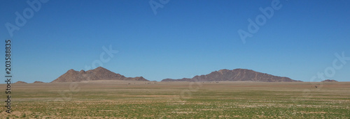 Green desert in the Naukluft National Park © Shumba138
