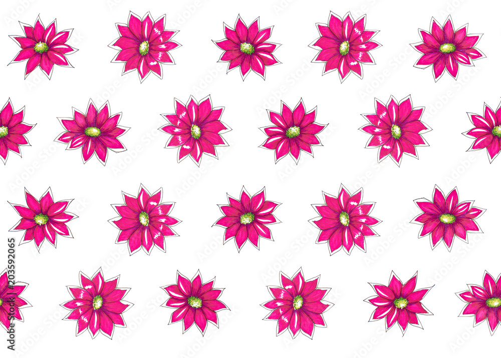 Botanical hand drawn pattern with bright pink flowers Botanical hand drawn pattern with bright pink flowers