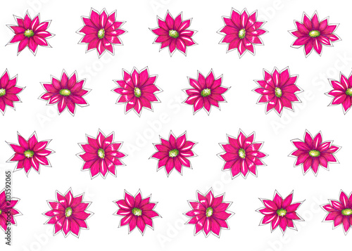 Botanical hand drawn pattern with bright pink flowers © Denys Kurbatov