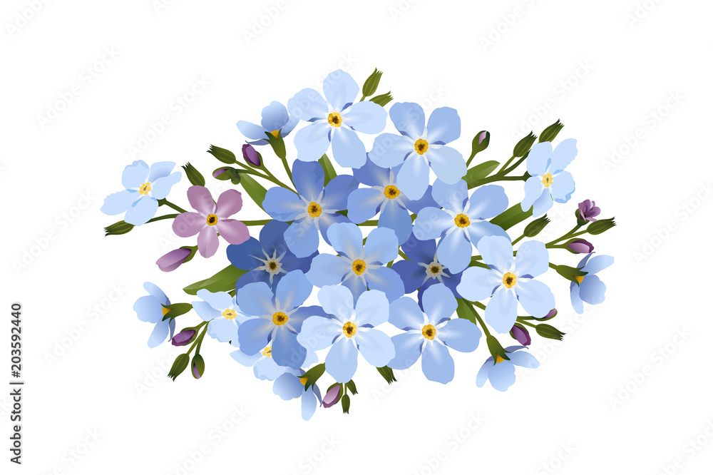 Vergissmeinnicht Blumen Gruppe, nostalgische Karte,
Vektor Illustration isoliert auf weißem Hintergrund 