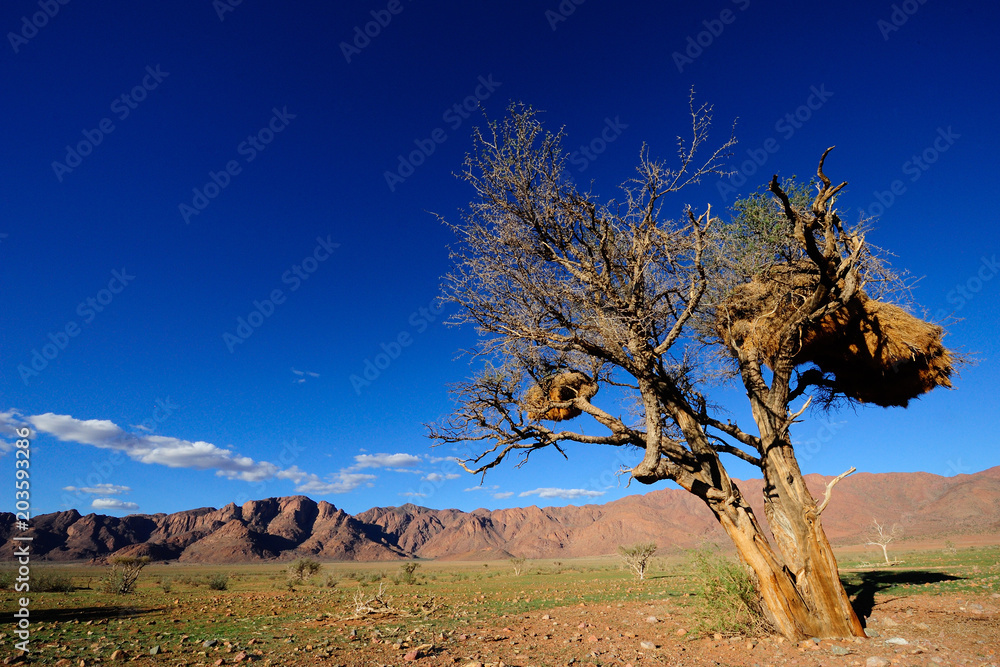 Fototapeta premium Mountains in the NamibRand