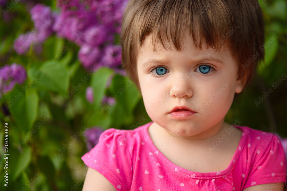 Little girl in the spring on a walk. Portrait of a girl on a background of blossoming lilacs
Little girl in the spring on a walk. Portrait of a girl on a background of blossoming lilacs