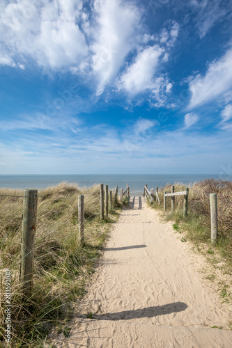 Beautyfull Path To Beach Of Domburg Netherland - Zeeland