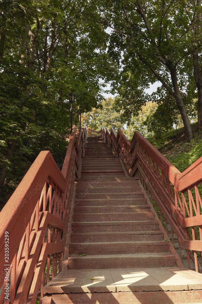 Wooden staircase in the summer Park.