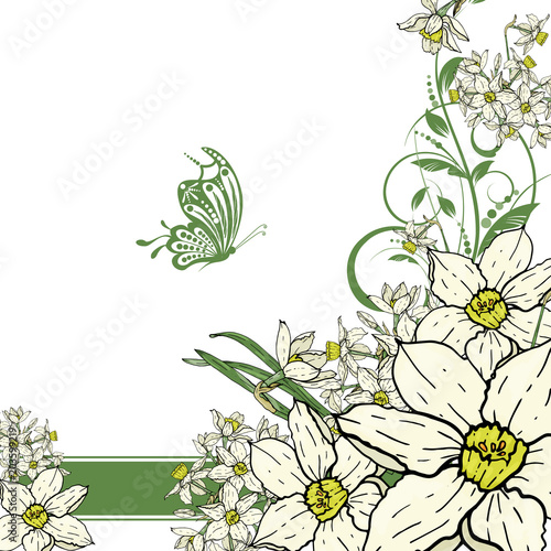  hand drawing  Narcissus flowers background.