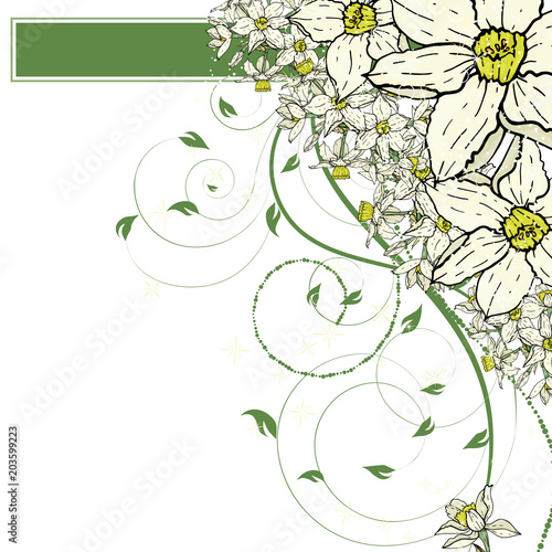  hand drawing  Narcissus flowers background.