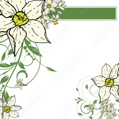  hand drawing  Narcissus flowers background.