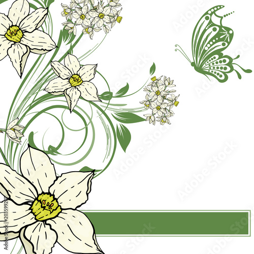  hand drawing  Narcissus flowers background.