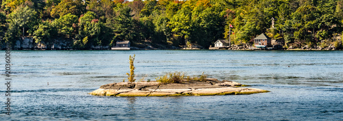 Tiny Island in the Thousand Islands, St. Lawrence River with cottages in the background