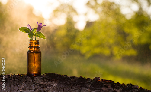 Natural remedies, aromatherapy - bottle photo