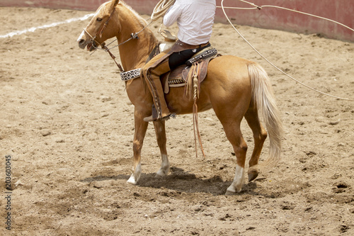 Mexican charro on horseback performing a lasso trick, charreria, charro