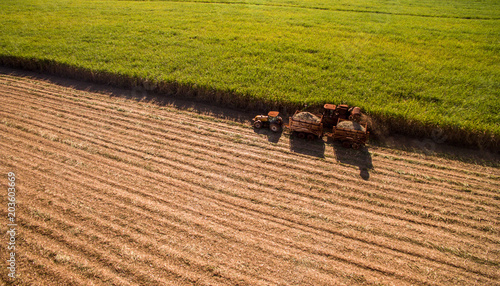 Sugar cane hasvest plantation aerial