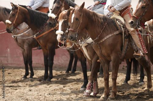 Mexican charros mounted on their horses during a tournament