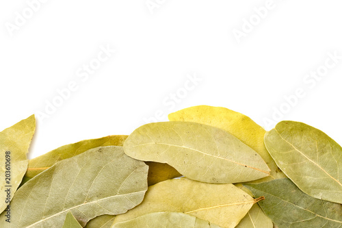 Bay Leaves on a White Background
