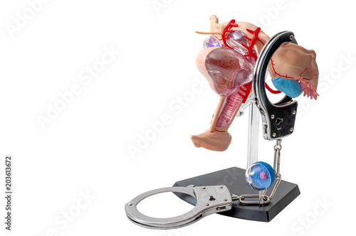 Law regarding aborting a pregnancy, reproductive rights and abortion legislation concept with a medical model of female reproductive system in handcuffs, isolated on white with a clipping path cutout photo
