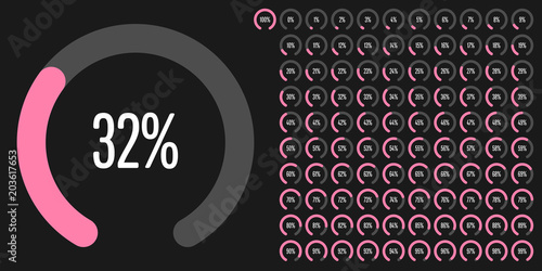 Set of circular sector percentage diagrams from 0 to 100 ready-to-use for web design, user interface (UI) or infographic - indicator with pink