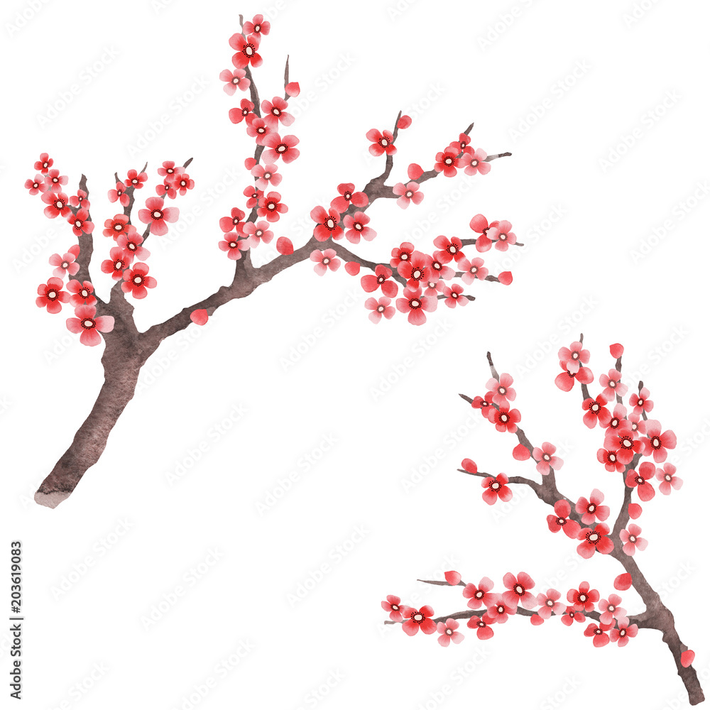 Fototapeta premium Sakura branches as design element. Spring sakura in hand drawn watercolor style. Flowering branch isolated on white background 