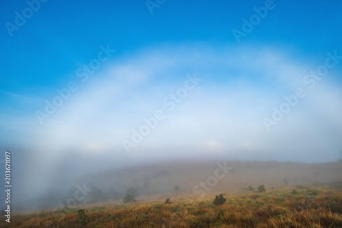 Rainbow on misty meadow during morning. Lanscape view with blue sky