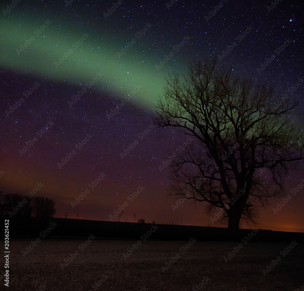 The Night Sky of Rural South Dakota during Summer The Night Sky of Rural South Dakota during Summer