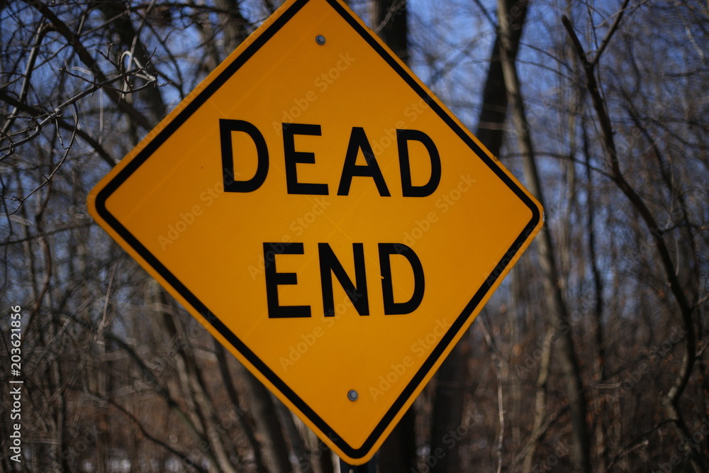 Sign that states DEAD END Sign that states DEAD END