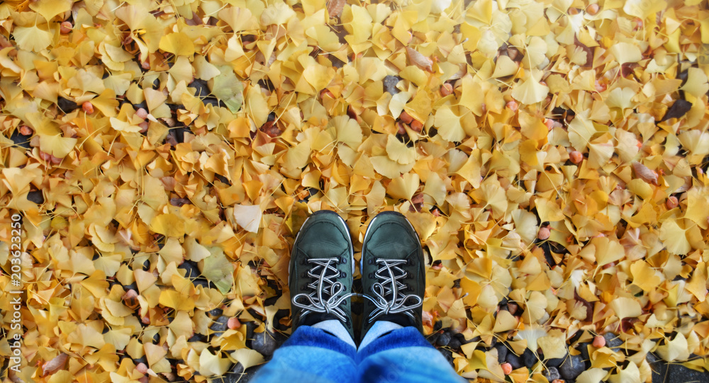 Travel in Fall and Autumn Concept. Top view of person in Blue Jeans and  Adventure Shoes standing over full of Yellow Leaves (Ginkgo) Stock Photo |  Adobe Stock