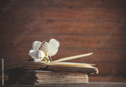 White orchid flower and old books on wooden table and background