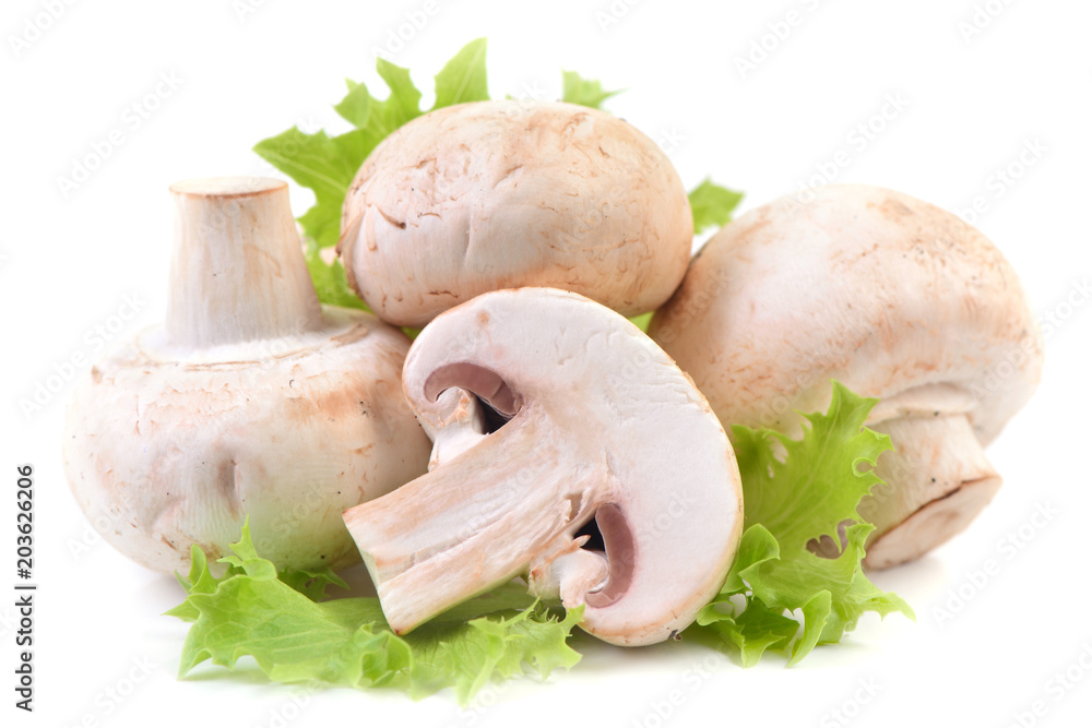 Mushrooms champignon Mushrooms champignon