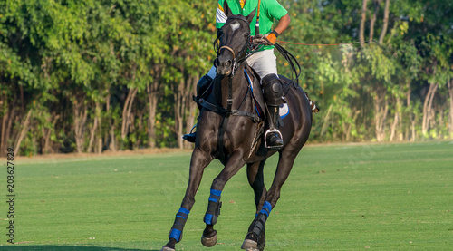  Polo Player Playing Polo Horse During the Games © Hola53