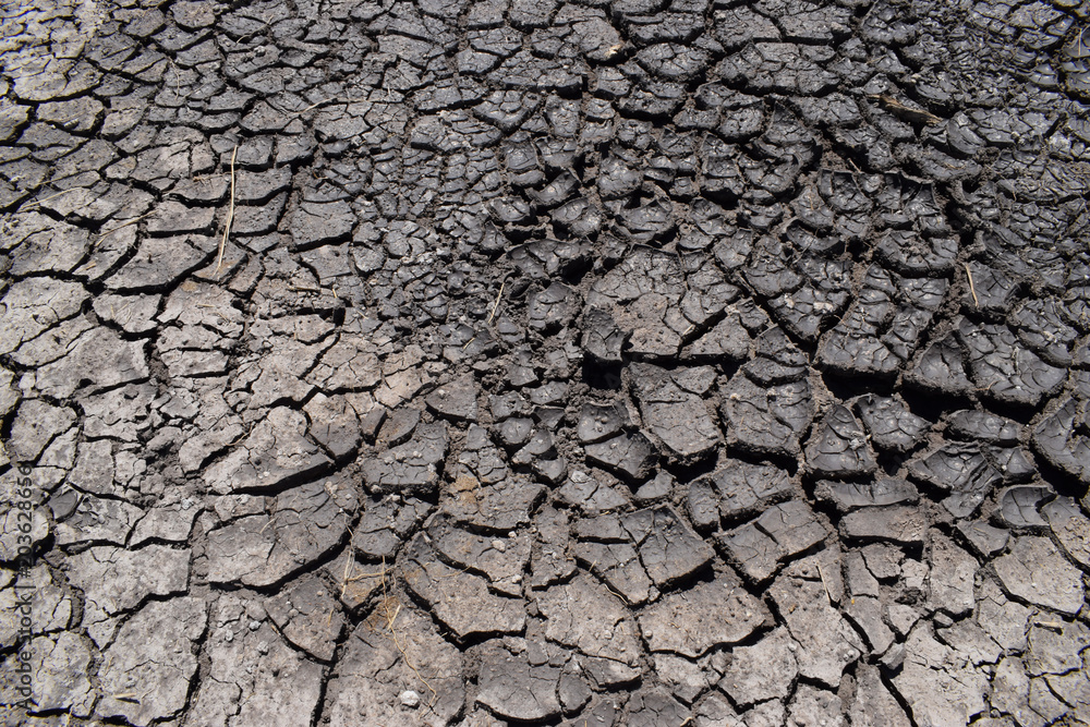 drought, the earth cracked due to drought, dry grass on the ground drought, the earth cracked due to drought, dry grass on the ground